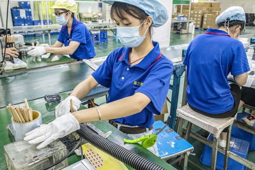 東莞往事 工廠大姐修電腦的溫情邂逅與網(wǎng)站設(shè)計(jì)夢(mèng)